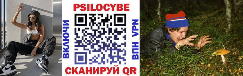где купить наркотик Лесозаводск Псилоцибиновые грибы ЛСД
